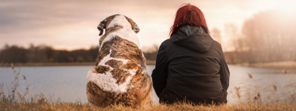 cuanto tiempo viven los perros en la naturaleza